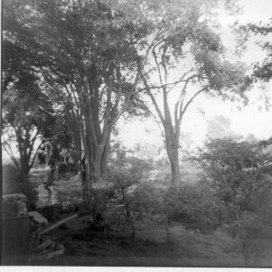 Arrière de la maison du Chemin du Sault-Saint-Louis.- août 1955